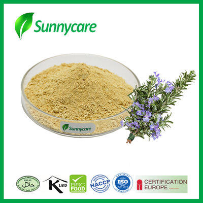 HPLC Rosemary Extract Powder 90% Carnosic Acid 98% Rosmarinic Acid 95% Ursolic Acid