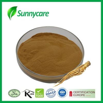 Dong Quai Root Extract Powder Angelica sinensis การบรรเทาประจําเดือน อุตสาหกรรมยา