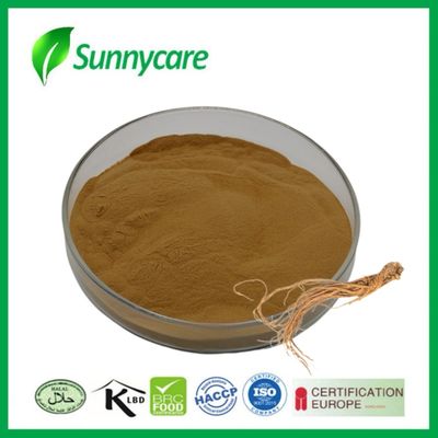 สารสกัด Dong Quai ขาว Angelica sinensis ความสมดุลฮอร์โมน อาหารเสริม