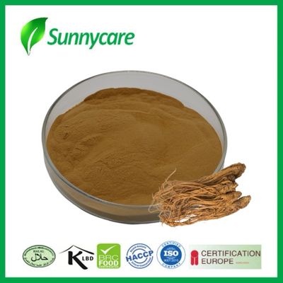 สารสกัด Dong Quai Angelica sinensis เสริมภูมิคุ้มกัน อาหารทํางาน เครื่องดื่มพลังงาน