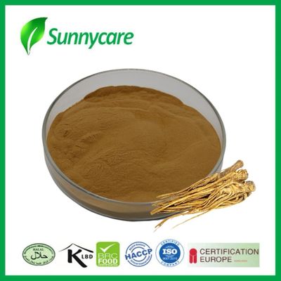 สารสกัดจาก Dong Quai ขนาดผง Angelica sinensis สุขภาพตับและไต
